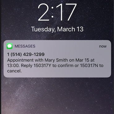 Example of a GOrendezvous appointment notification text message