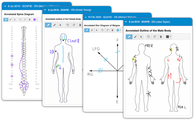 An outline of the male body (front and back), an outline of the female body (front and back), a diagram of a spine, and the star diagram of Maigne that were digitally drawn on