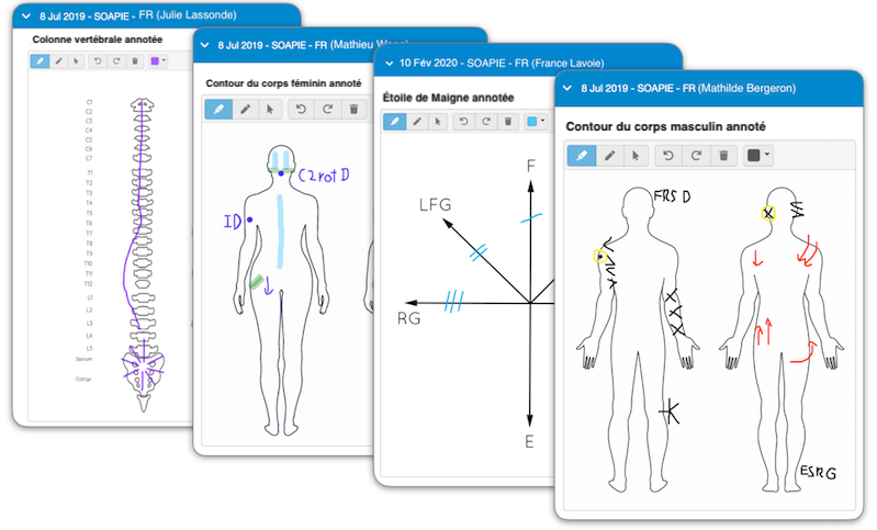 Un contour du corps masculin (avant et arrière), contour du corps féminin (avant et arrière), une colonne vertébrale et une étoile de Maigne sur laquelle on a dessiné numériquement