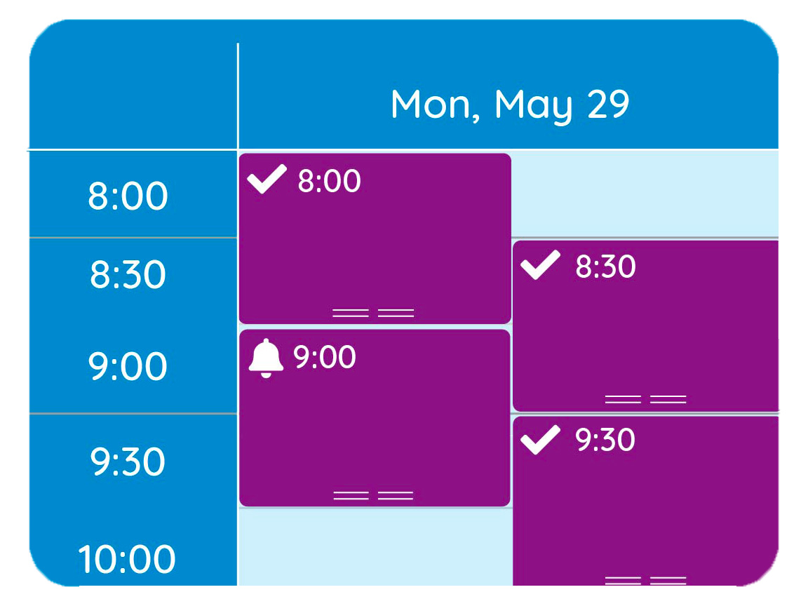 A GOrendezvous schedule showing two overlapping client appointments